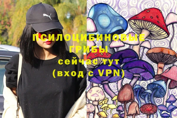 apvp Верея
