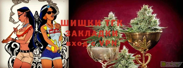 apvp Верея