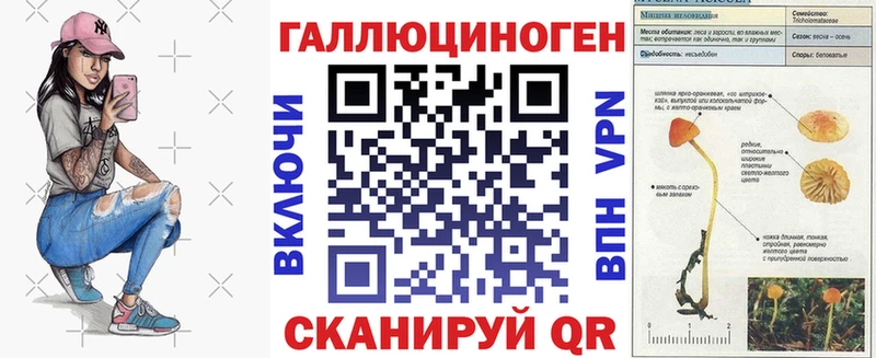 darknet какой сайт  Верея  Галлюциногенные грибы прущие грибы 